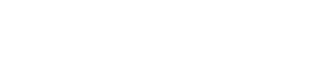 SNTWET 森维特